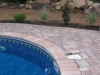 patio-and-turkeys-010